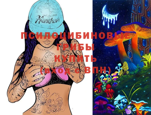 Альфа ПВП Армянск