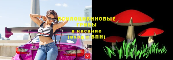 ECSTASY Арсеньев