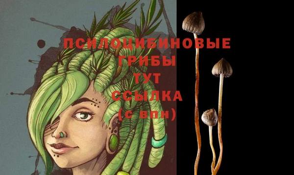 Альфа ПВП Армянск