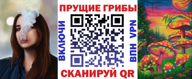 закладки  Ростов  МЕГА сайт  Псилоцибиновые грибы мицелий 